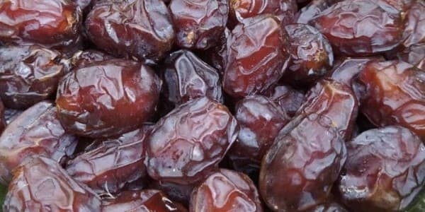 تصویر 3 از قیمت خرما خاصویی ویژن + خرید باور نکردنی